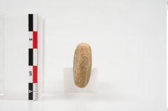 Foto von Schleifstein (NHMW-PRAE-026323)